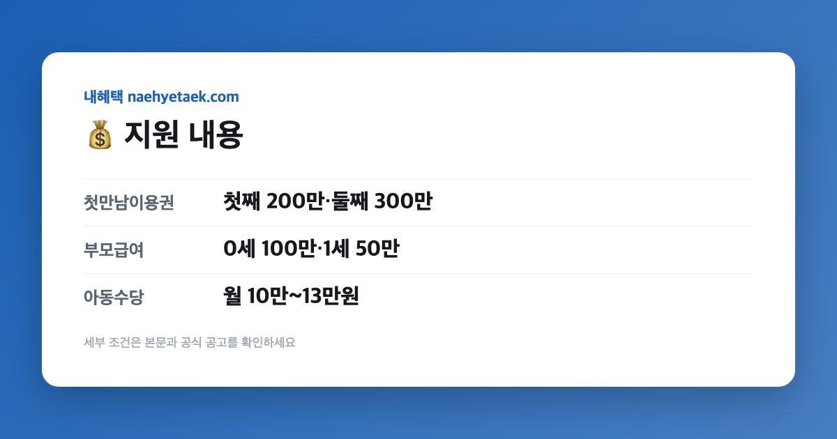 💰 지원 내용