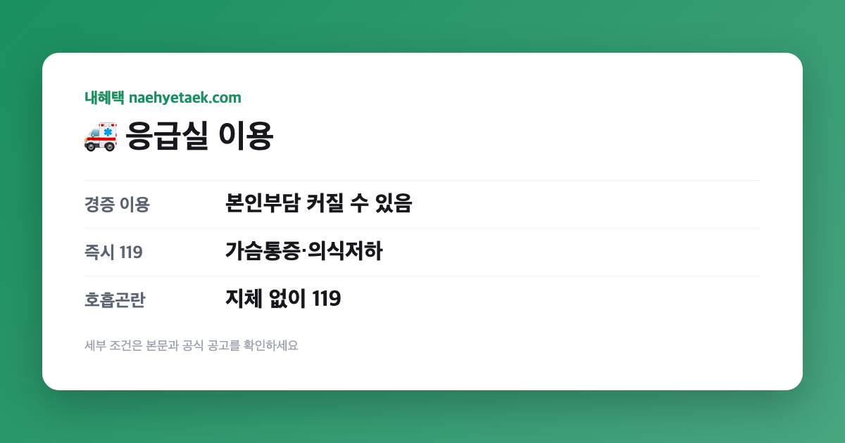 🚑 응급실 이용