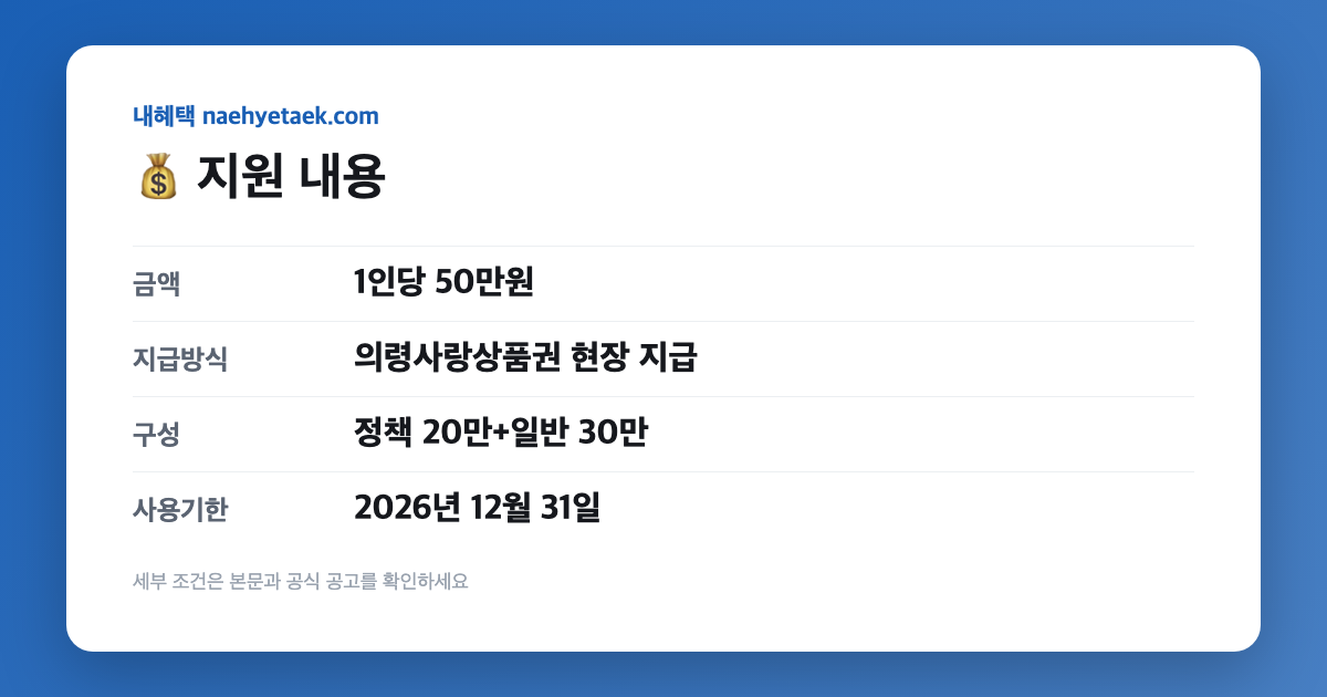 💰 지원 내용