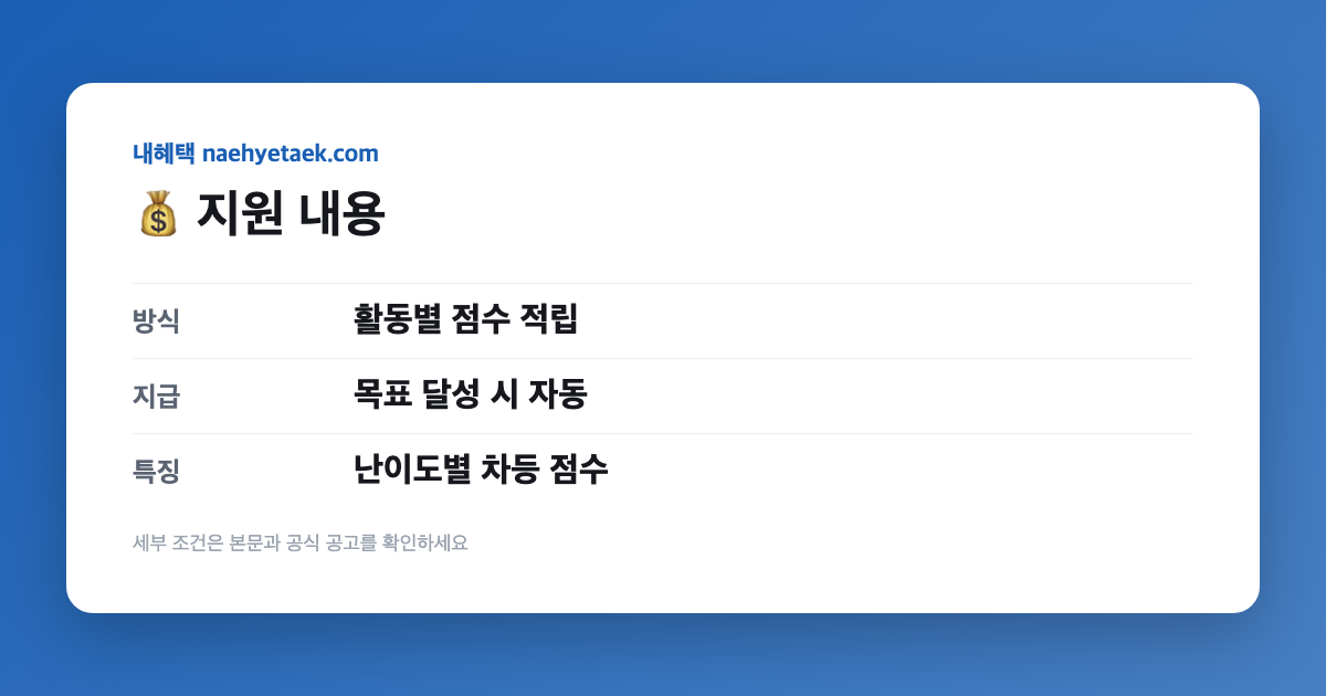 💰 지원 내용