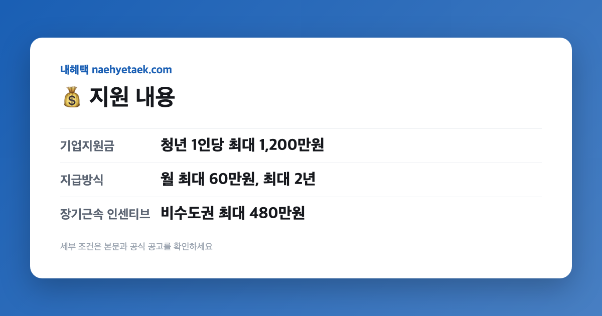💰 지원 내용
