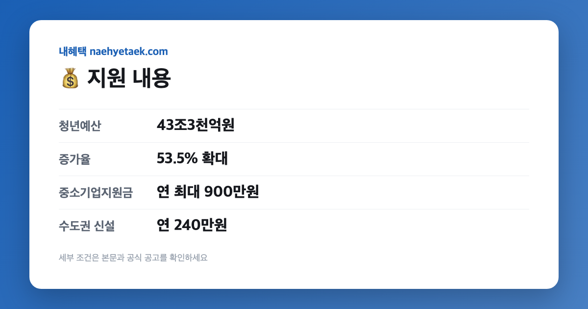 💰 지원 내용