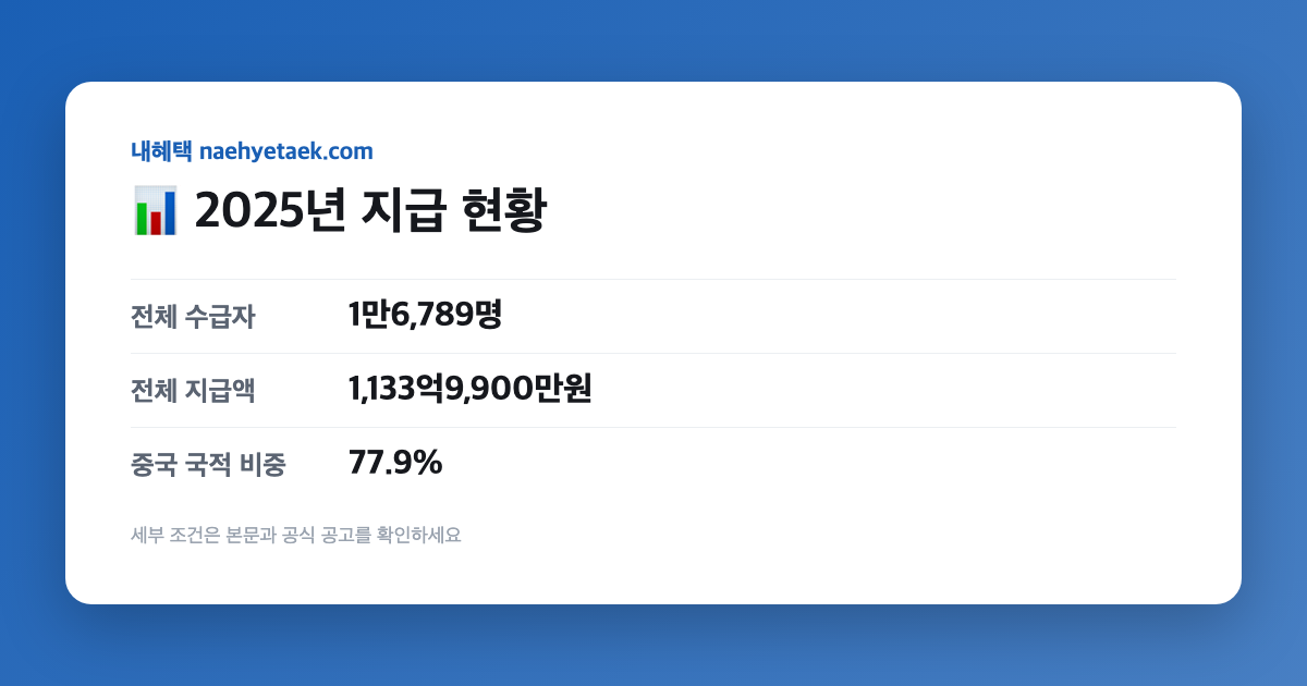 📊 2025년 지급 현황