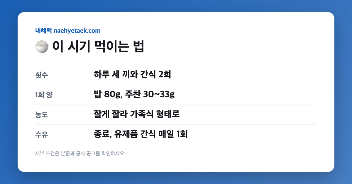 🍚 이 시기 먹이는 법