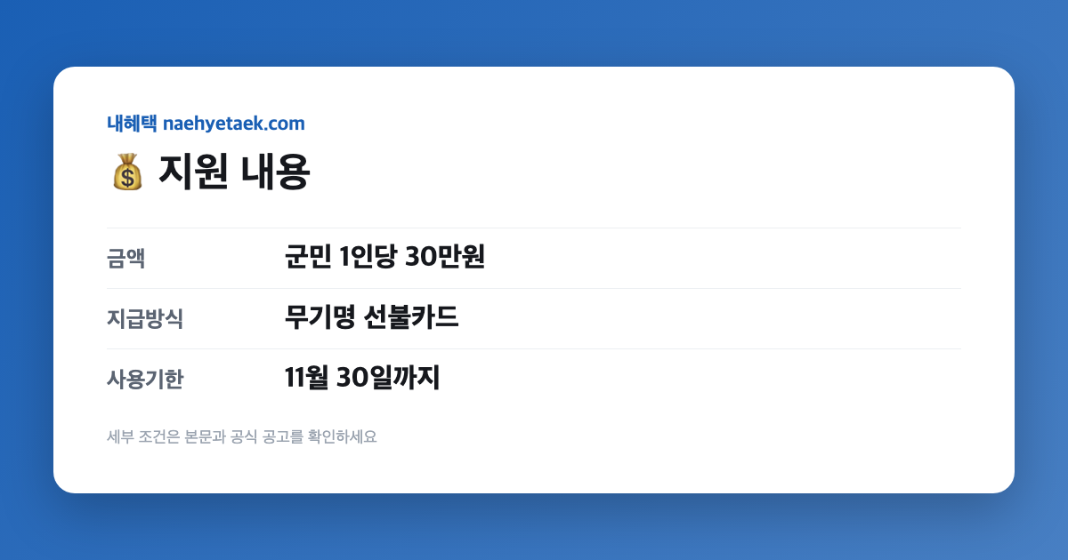 💰 지원 내용