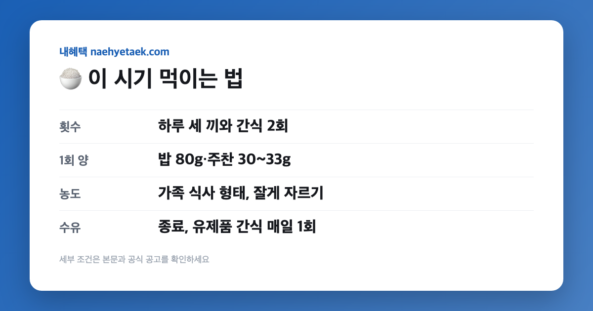 🍚 이 시기 먹이는 법