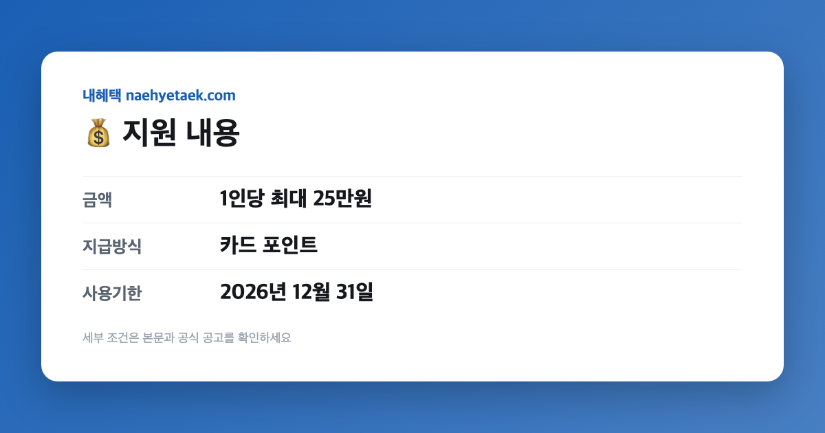 💰 지원 내용