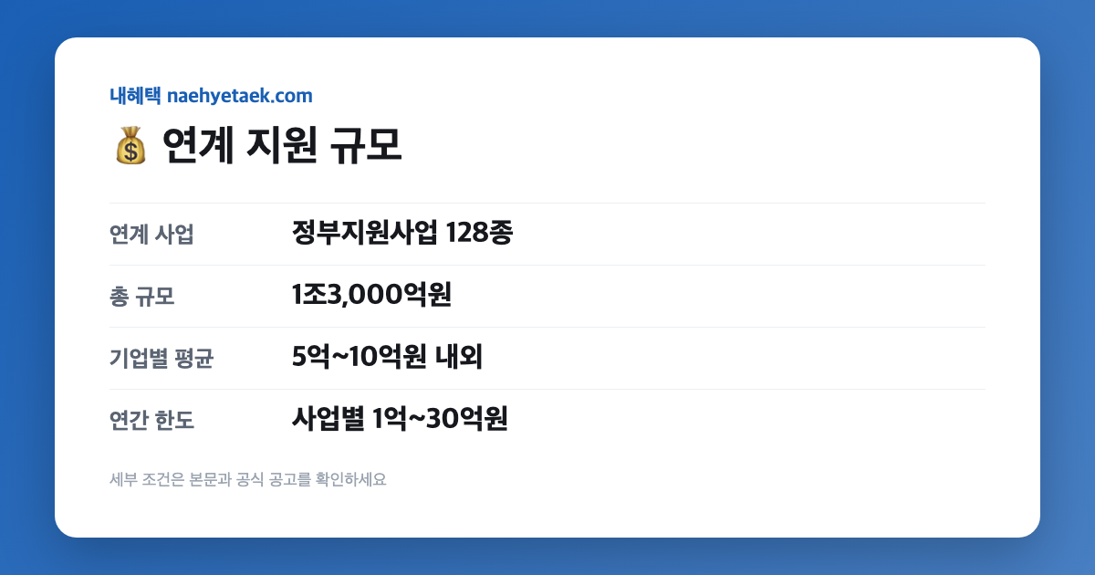 💰 연계 지원 규모