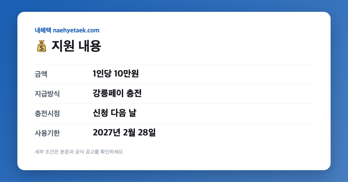 💰 지원 내용