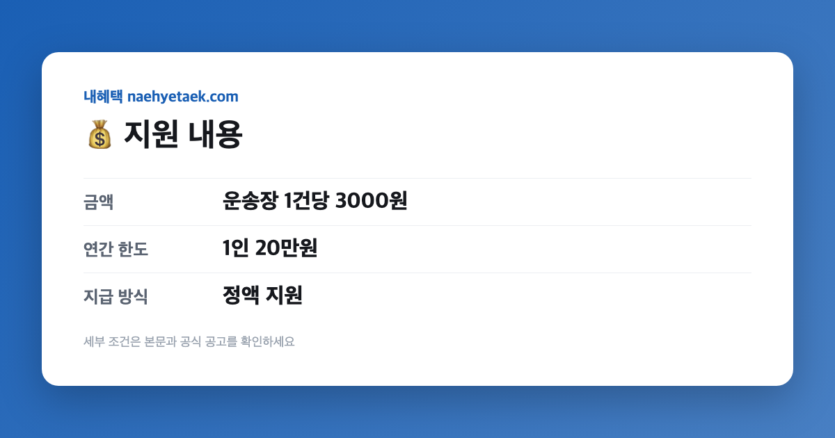 💰 지원 내용