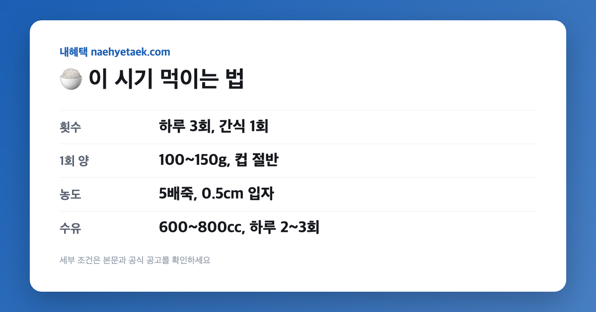 🍚 이 시기 먹이는 법