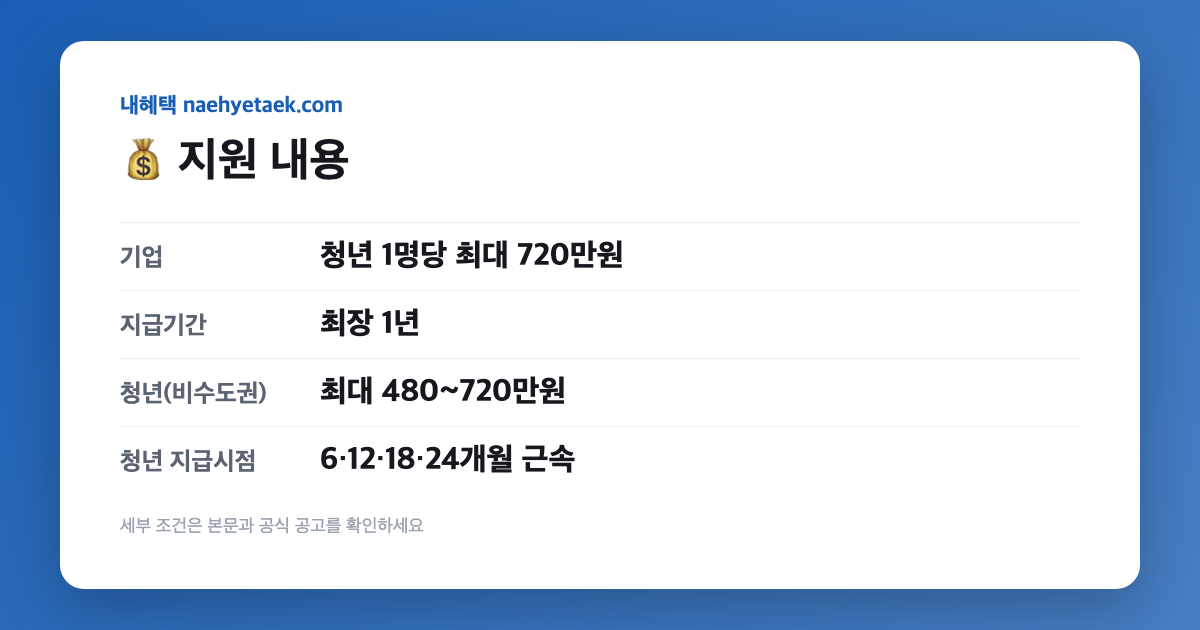 💰 지원 내용