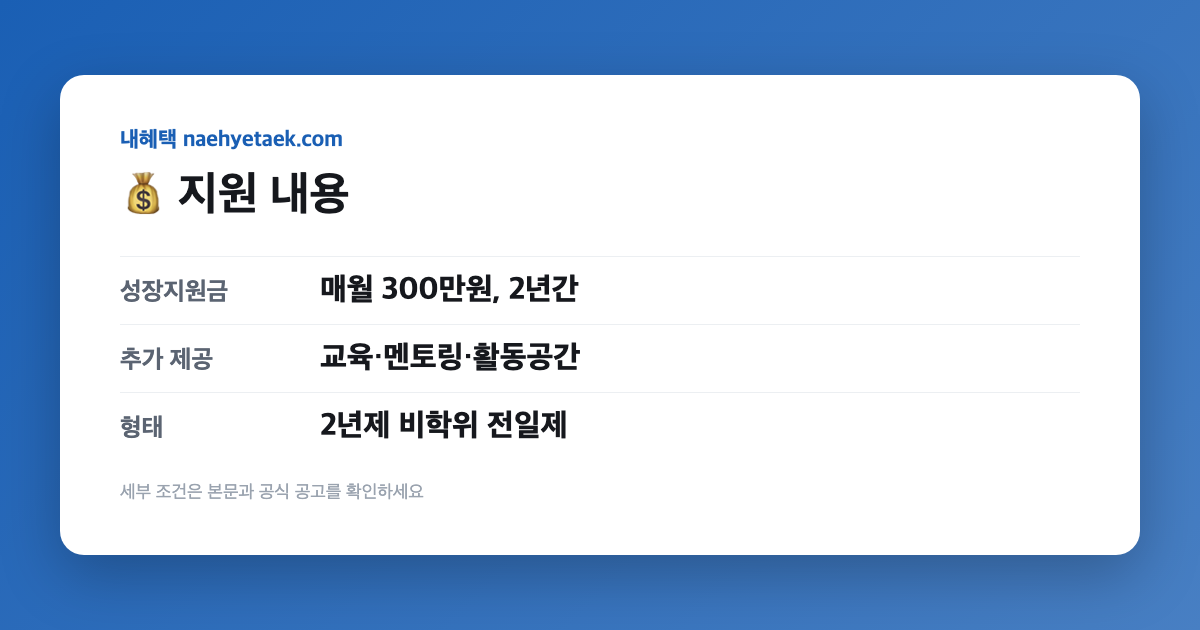 💰 지원 내용
