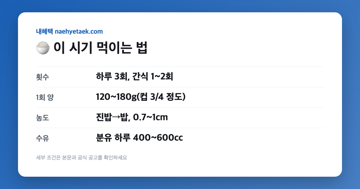 🍚 이 시기 먹이는 법