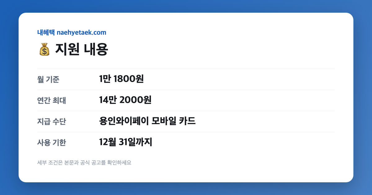 💰 지원 내용