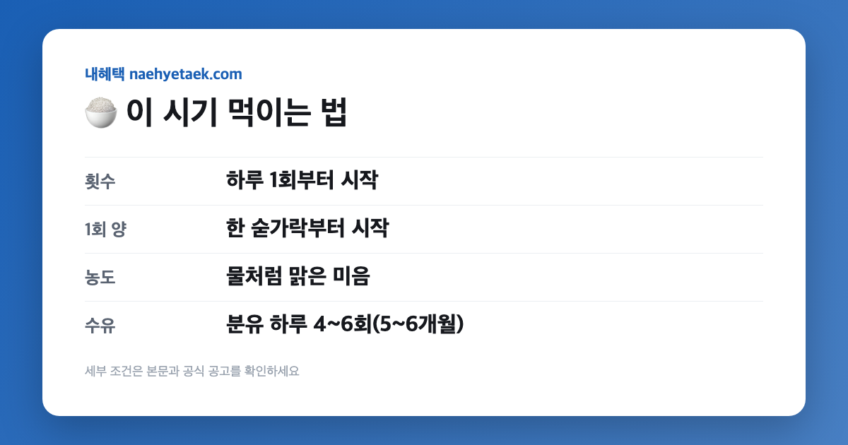 🍚 이 시기 먹이는 법